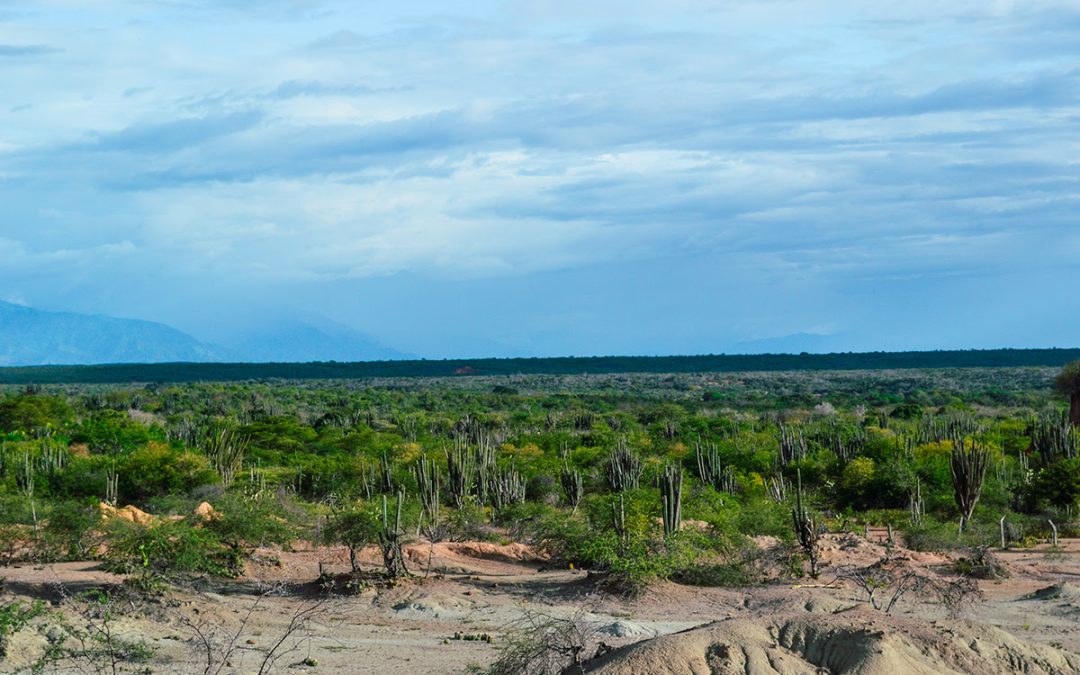 LA UCAB ESTUDIARÁ IMPACTO DEL CAMBIO CLIMÁTICO EN VENEZUELA CON TECNOLOGÍA GEOESPACIAL DE LA UNIVERSIDAD DE GEORGIA