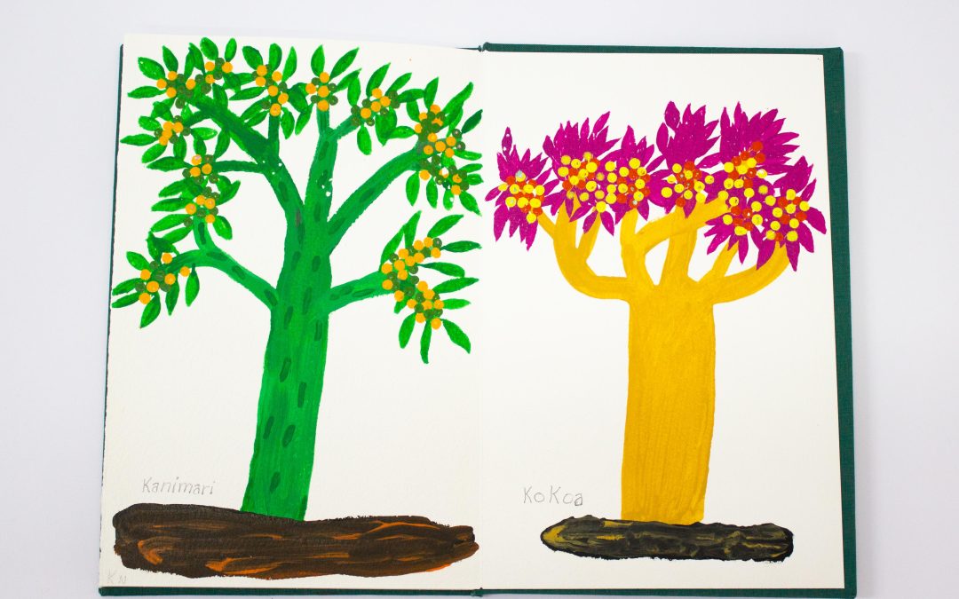 Galería ABRA presenta exposición individual  del artista yanomami Sheroanawe Hakihiiwe