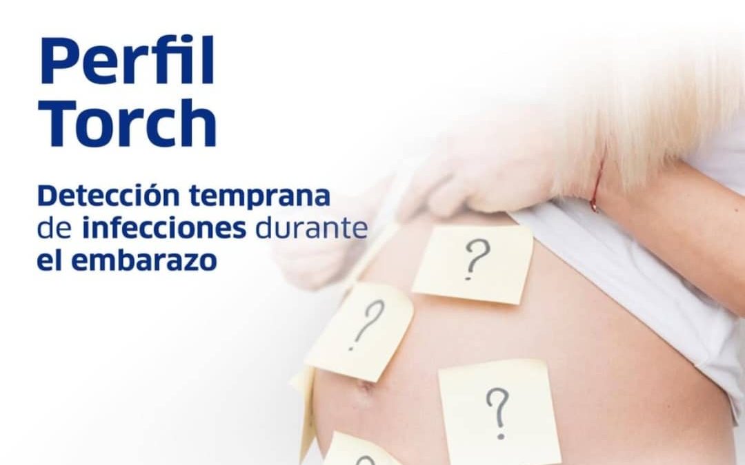 Perfil TORCH: El aliado preventivo que toda mujer debe realizarse antes de la concepción