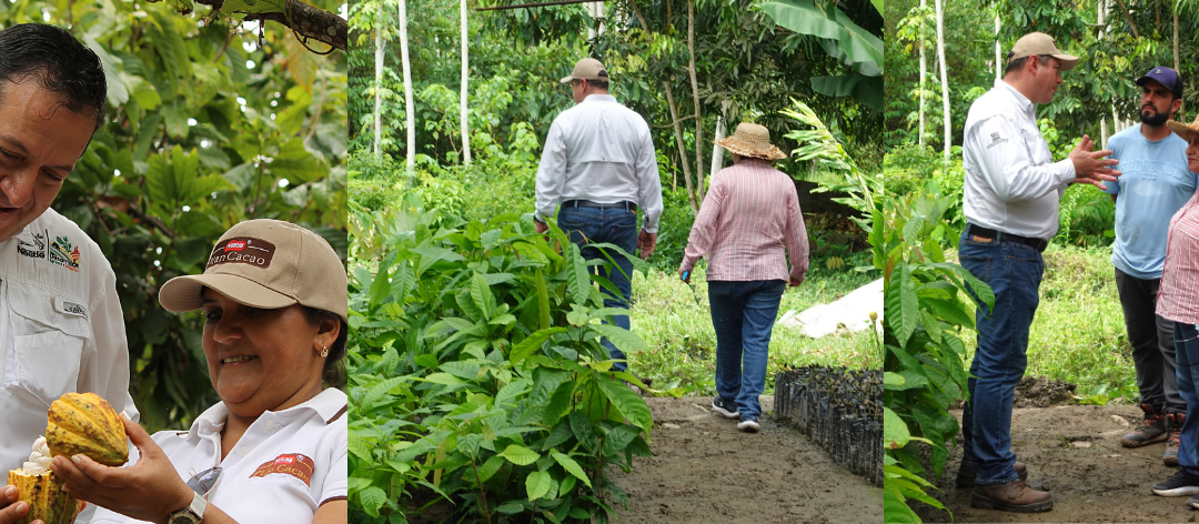 Nestlé Venezuela fortalece la sostenibilidad de la producción nacional con la agricultura regenerativa