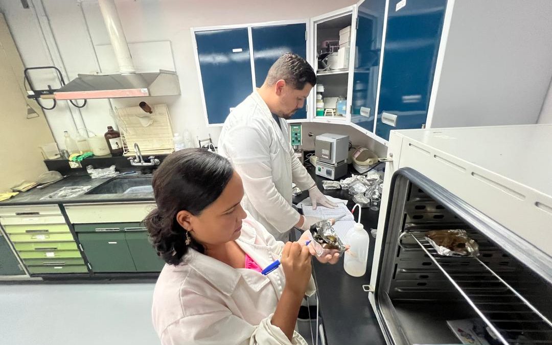 Investigadores del IDEA destacan el uso de herramientas biotecnológicas y microorganismos para el cuidado ambiental