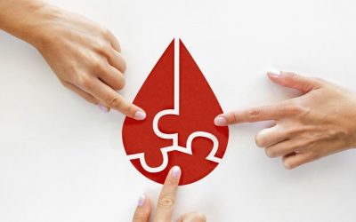 Donar sangre: El proceso biológico que oxigena y renueva tu salud