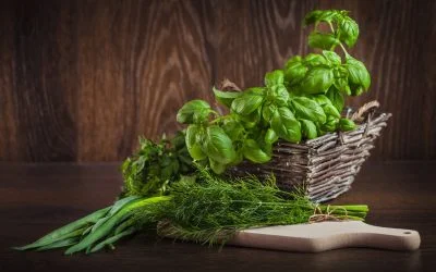 El secreto detrás de los aromas que conquistan el paladar italiano