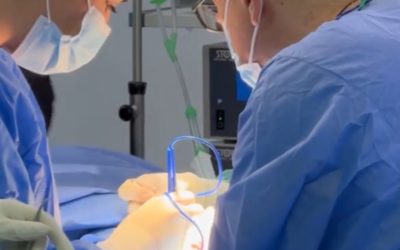 El entrenamiento metabólico eleva la supervivencia en emergencias
