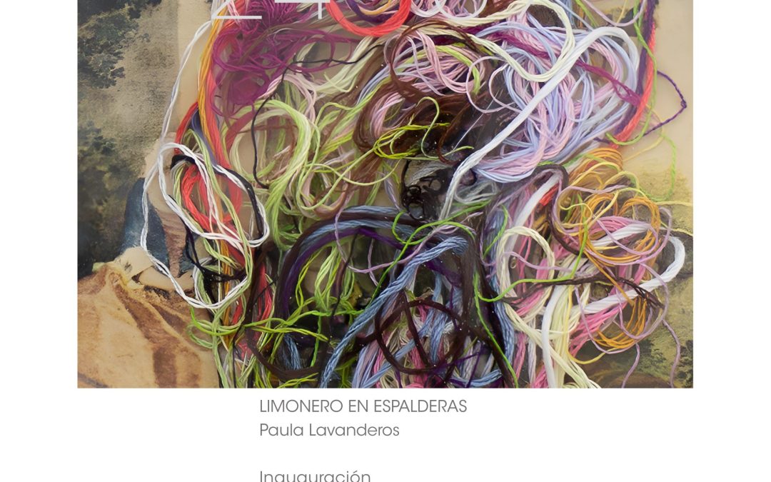Galería ABRA presenta exposición individual  de la artista chilena Paula Lavanderos.