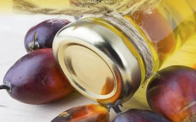 Grupo San Simón impulsa la palmicultura y su valor nutricional